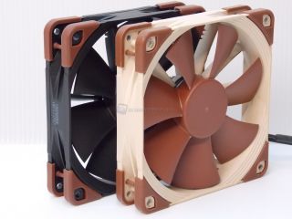 NOCTUA IND new 00010